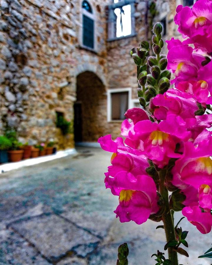 Chios Mantalenas Apartments Véssa Buitenkant foto