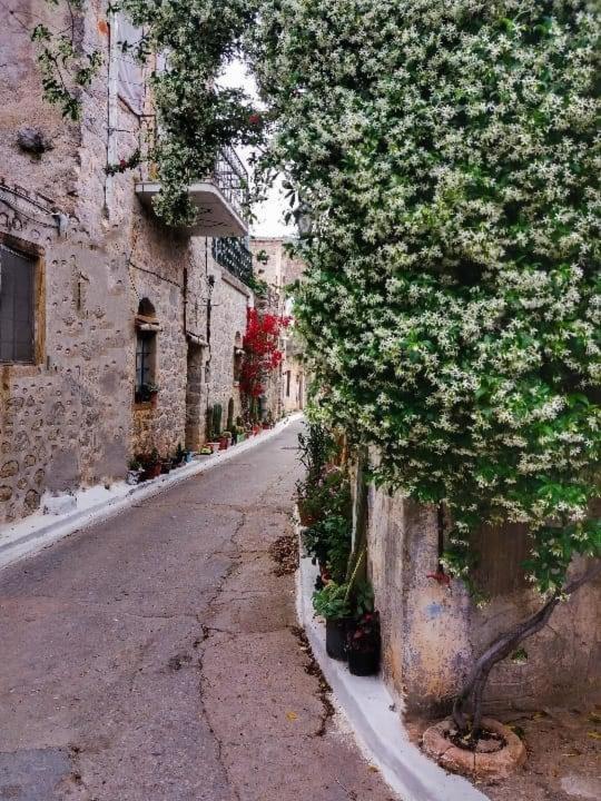 Chios Mantalenas Apartments Véssa Buitenkant foto